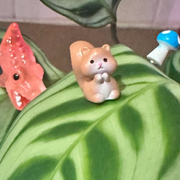 🍃10 pack PLANT MAGNETS!🍃 - Picture 13 of 16